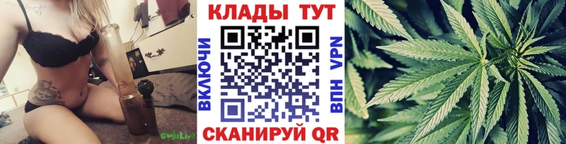 Виды наркотиков купить Челябинск Гашиш  Канабис  A PVP  Меф мяу мяу  КОКАИН 