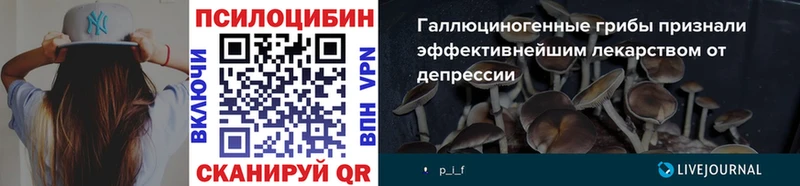 mega как зайти  купить наркотики сайты  Челябинск  Псилоцибиновые грибы Psilocybine cubensis 